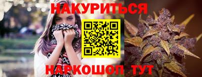 мдпв Пугачёв