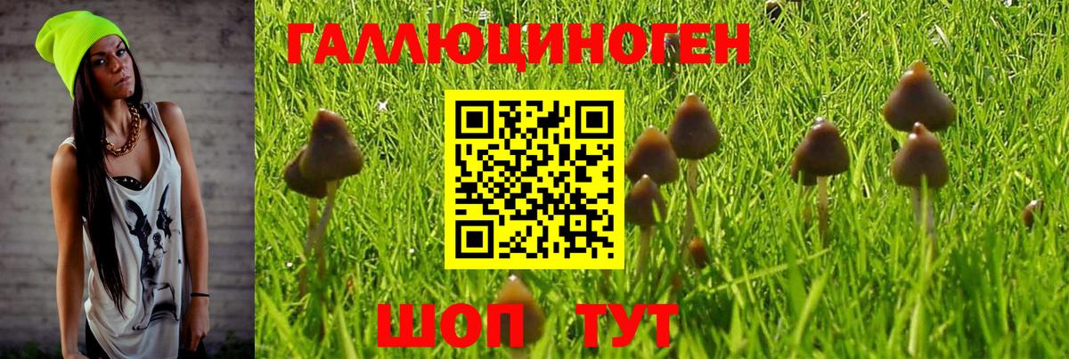 Псилоцибиновые грибы прущие грибы Пушкино