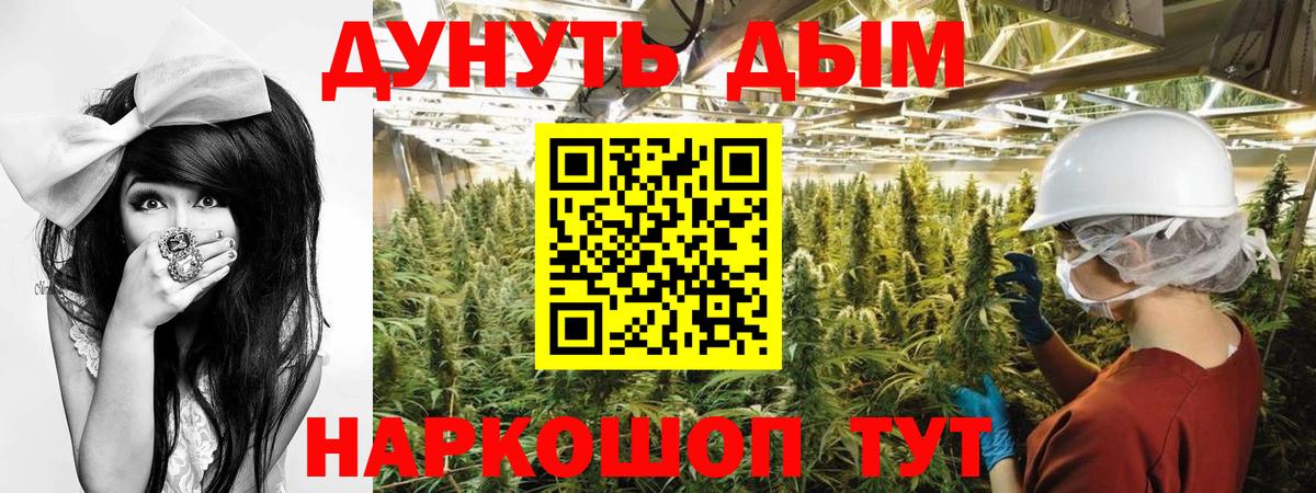 Канабис планчик Пушкино
